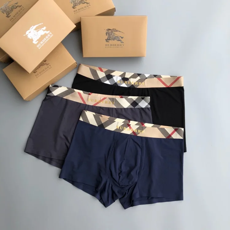Burberry Men's Boxer Briefs with Iconic Check Waistband