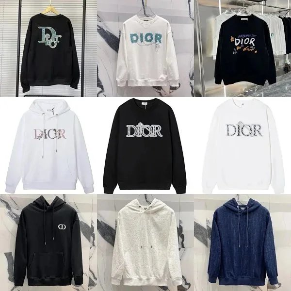 Dior Logo Sweatshirts and Hoodies for Men and Women