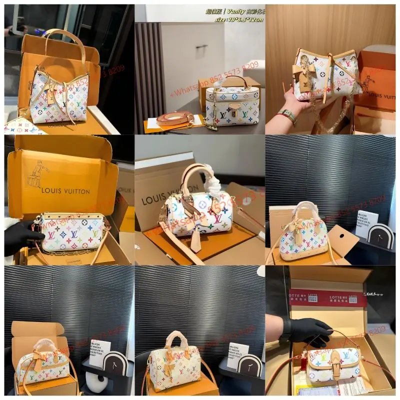 Louis Vuitton Monogram Multicolore Vanity Bag
